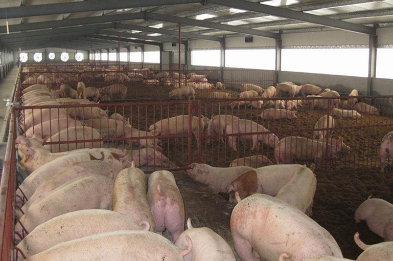 養(yǎng)殖場(chǎng)適合用紫外線消毒燈嗎？