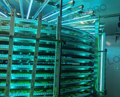 食品廠防爆紫外線殺菌燈：保障食品生產(chǎn)環(huán)境安全的利器！