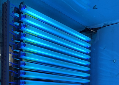 如何通過(guò)UV紫外光照實(shí)驗(yàn)箱構(gòu)建動(dòng)物皮膚光老化模型？