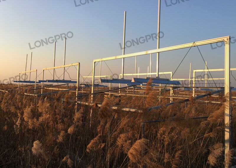 科研遠(yuǎn)紅外增溫實(shí)驗(yàn).jpg 科研遠(yuǎn)紅外增溫實(shí)驗(yàn).jpg